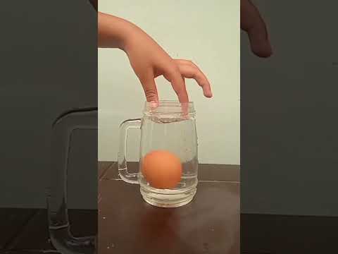 Experimentos caseros. El huevo que flota.