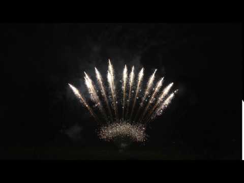 SW1313- 1.2''-13s silver needle chry tail with chry mine