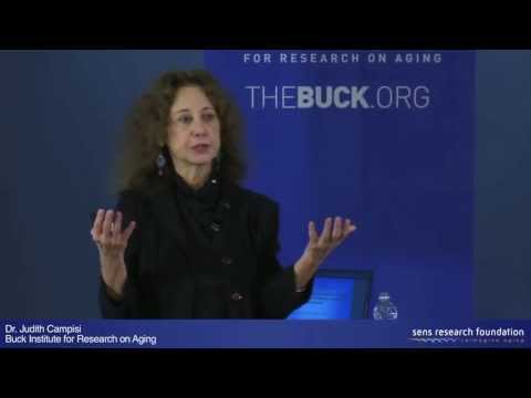 Senescent Cells, Cancer, and Aging - Dr. Judith Campisi