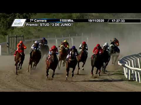 201119 c07 1° Mr.Dallas (BRZ) - SINT-FLORIDA