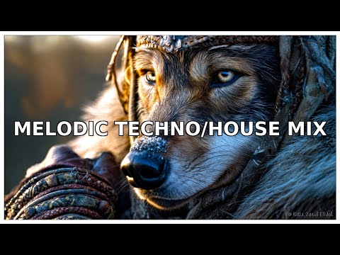 🔥DJ TechnoWoof — Arctic Pulse Ritual | Deep Melodic Techno & Frosted Basslines