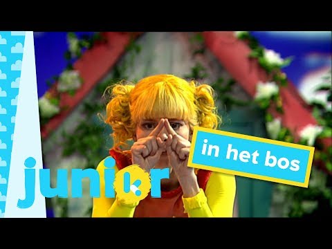 Kinderliedjes - Kaatje zingt: In het bos daar staat een huisje