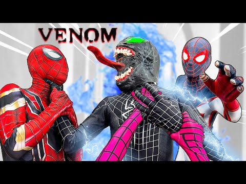 TEAM SPIDER-MAN vs VENOM | THE SUPER BATTLE With TEAM SPIDER-MAN - Bunny Life