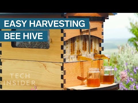 , title : 'Crowdfunded Beehive Provides Honey On Tap'