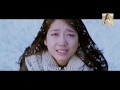 Park Shin Hye Story