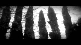 And Also The Trees - Midnight Garden