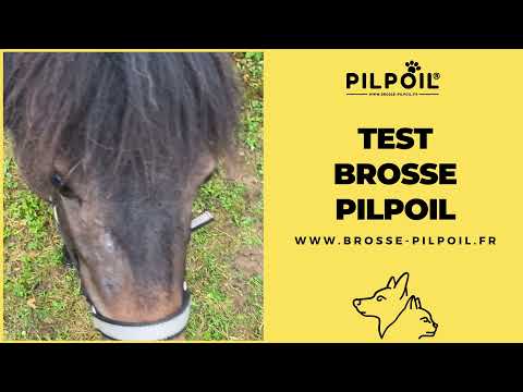 Vidéo client cheval 1