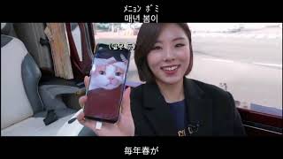 [日本語字幕/カナルビ]MAMAMOO(마마무)―Spring Fever(봄타)