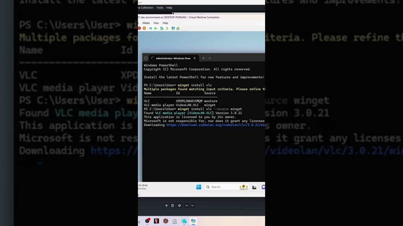 How to use Winget to install any application quickly