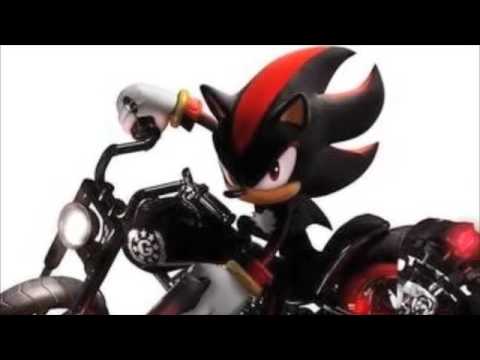 Sonic vs Shadow-My Beautiful Rose-2-Carrera-Shadow&Amy