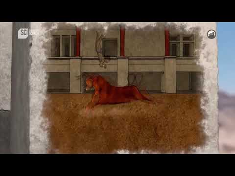 Tarihe Yakından Bakış  Minos Uygarlığı ve Knossos Sarayı