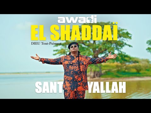 DIDIER AWADI - EL SHADDAÏ feat. Junior Sarr et Alex Faye (Video officielle)