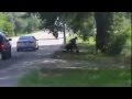 Sandra Bland's Arrest 