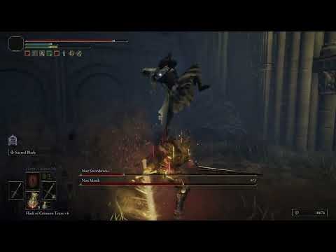 Elden Ring: Miniboss Nox Swordstress & Nox Monk