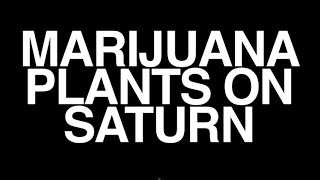 Marijuana Plants on Saturn Music Video
