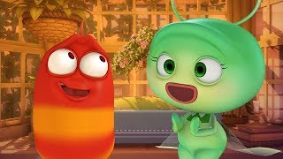 Download lagu LARVA - RED'S BROKEN HEART | Cartoon Movie | Cartoons | Comics | Larva Cartoon | LARVA  mp3