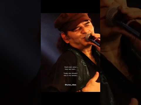 Peeloon Lyrics Translation. Mohit Chauhan Live Performance #mohitchauhan #peeloon