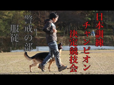 動画1