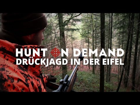 Driven hunt in the Eifel region 🐗 with @Huntingroom