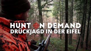 Drückjagd in der Eifel 🐗 mit @Huntingroom