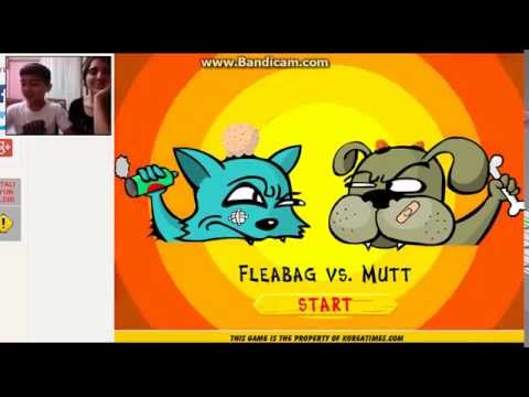 Ablamla cat vs dog limon tuzu cezalı