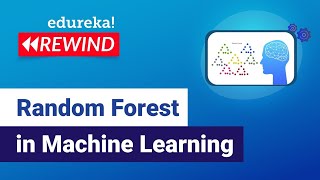 Explore Random Forest Algorithm  | Machine Learning Training | Edureka | ML Rewind