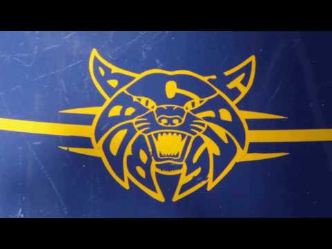 THEIR YEAR - Official Trailer