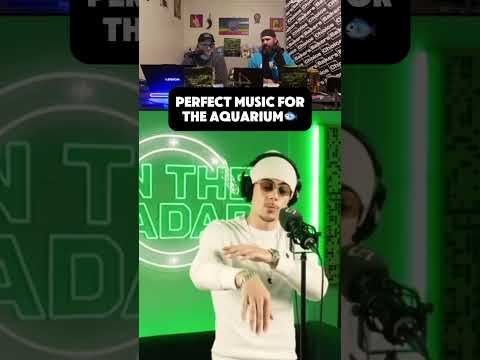 They need to play Nick Coleman’s On The Radar Radio performance in an Aquarium! 🐠🔥😂