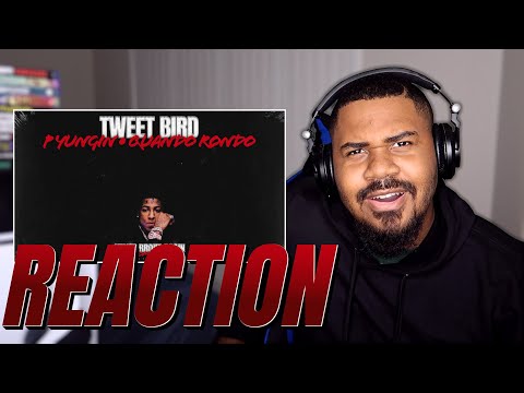 WHERE'S QUANDO!? NBA Youngboy, Quando Rondo, RJAE,Meechy Baby,ROJAYMLP, PYungin- Tweet Bird REACTION