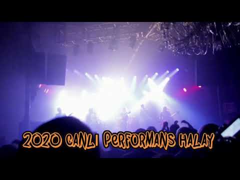 Canlı Performans Halay Potpori 2020 ( 20 dakikalık özel kayıt )
