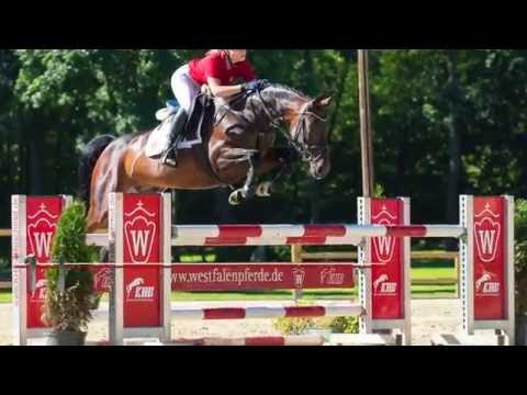 11 Bocca  Stute v. Balous Bellini - Phantom