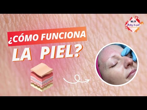 ¿Cómo funciona la piel y todas sus capas? - #ExclusivoMSP