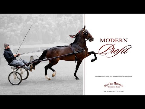 Modern Profit. Sold for $375,000