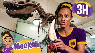 Meekah’s Dinosaur Hunt! | Educational Videos for Kids | Blippi and Meekah Kids TV