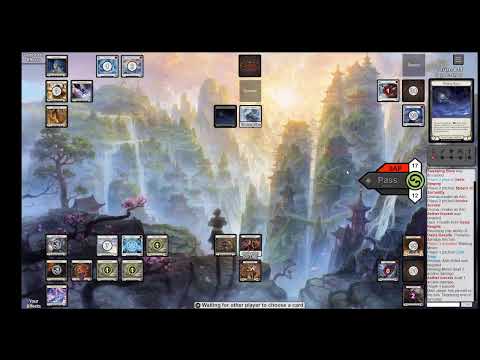 KoDaChI fOr OnE Presents Flesh and Blood TCG : Talishar testing dromai