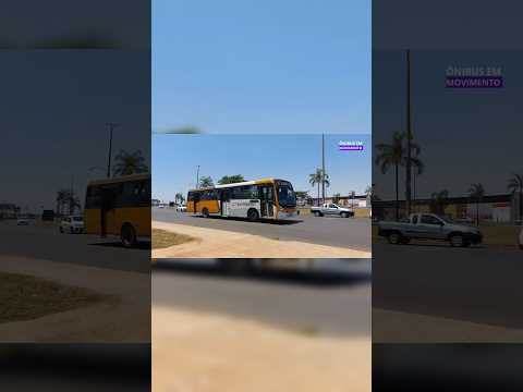 Movimentação De Onibus No Balao Do Novo Gama 🚌 #shorts #shortsviral