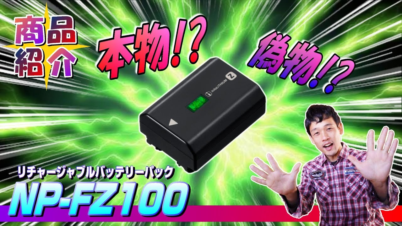 紹介B10《SONY純正!? リチャージャブルバッテリーパックを購入!》プリンの商品紹介：バッテリー