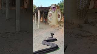 Download lagu Shiv tandav stotram | Hara hara shiv sambhu #shorts #shortvideo #vfx mp3