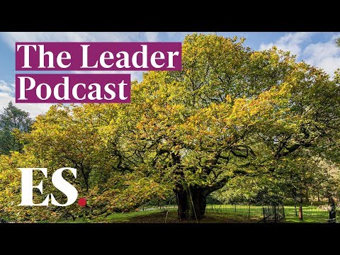 General Election 2019: Labour, Tories, Lib Dems and Greens - is this the climate change election?