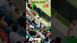 Download lagu Afghan Jalebi😂 #asiacup2022 #cricket #afghanistancricket #pakistancricket #indiacricket #shorts mp3