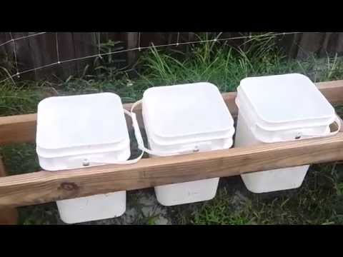 2015 Fall Startup - To Dutch Bucket or to Deep Water Culture...That is the question.