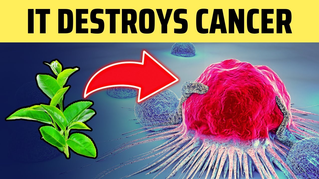 Cancer Dies When You Eat These 8 Foods