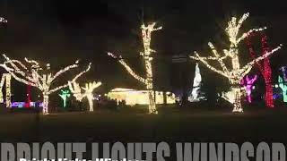 Bright Lights Windsor