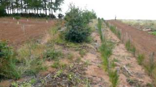 preview picture of video 'Malas prácticas agrícolas en la región de Santa Ana y Chajarí, Entre Ríos (AR)'