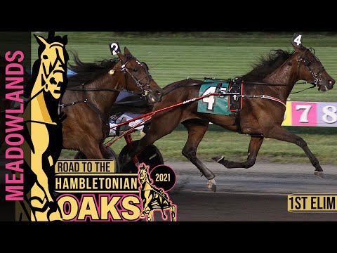 2021 Hambletonian Oaks - 1st Elim - Lady Chaos