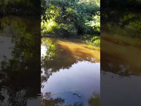 cachoeira do roncador,município de borborema paraiba.