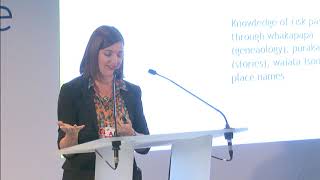 Disaster risk mitigation insights for global contexts