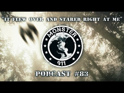 Monster 911 Episode #83 - It Flew Over And Stared Right At Me!
