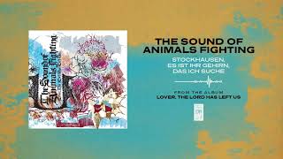 The Sound Of Animals Fighting &quot;Stockhausen, Es Ist Ihr Gehirn, Das Ich Suche&quot;