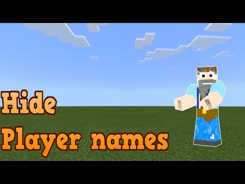 SECRET HACK: Hide Player Names in Minecraft!